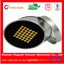 Neodymium Magnet Motor